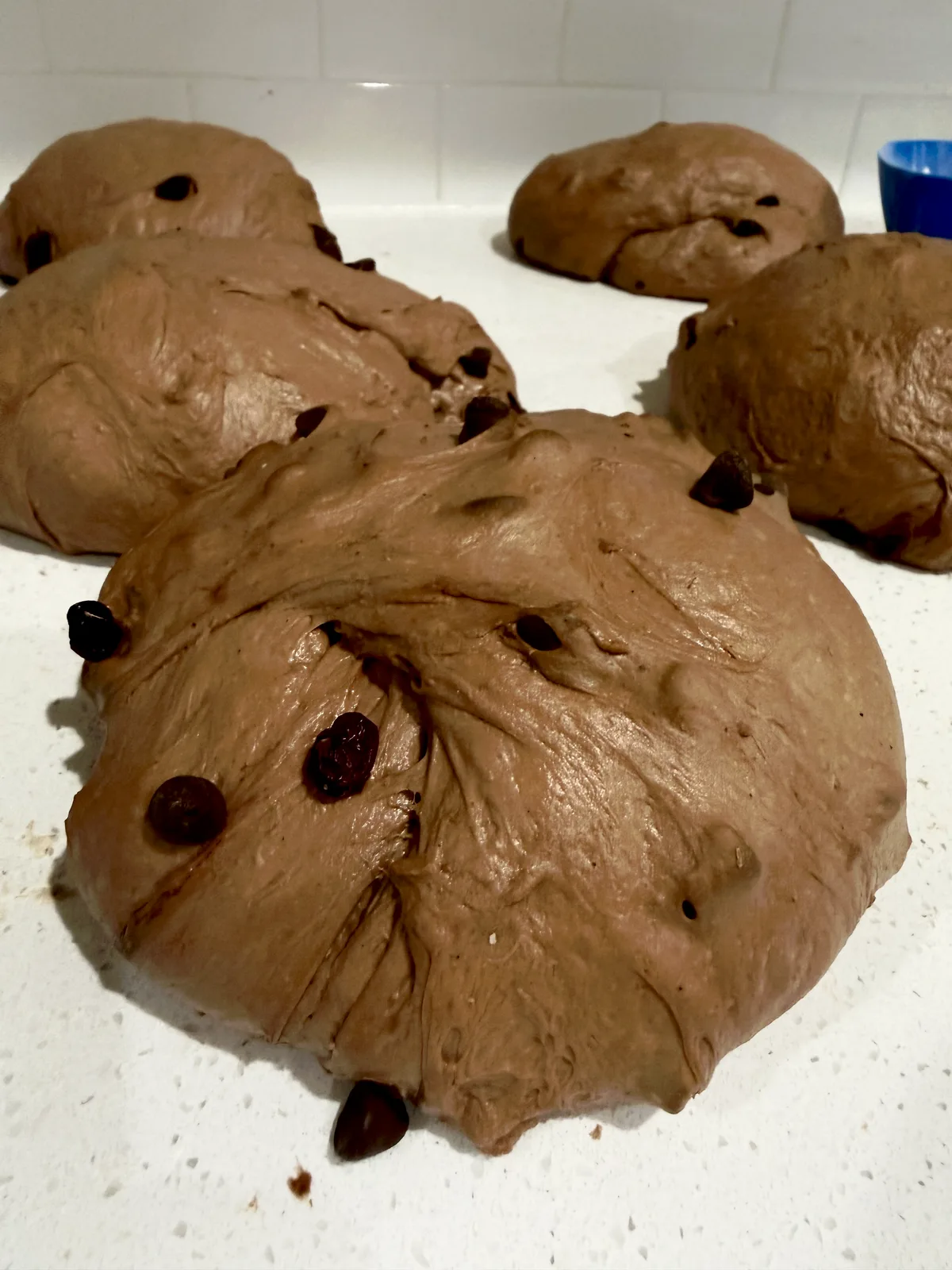 Cacao con Arándanos Rojos