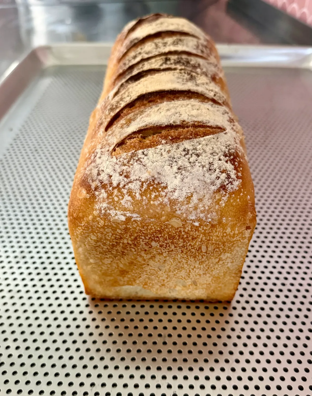 Pan de Caja de Masa Madre